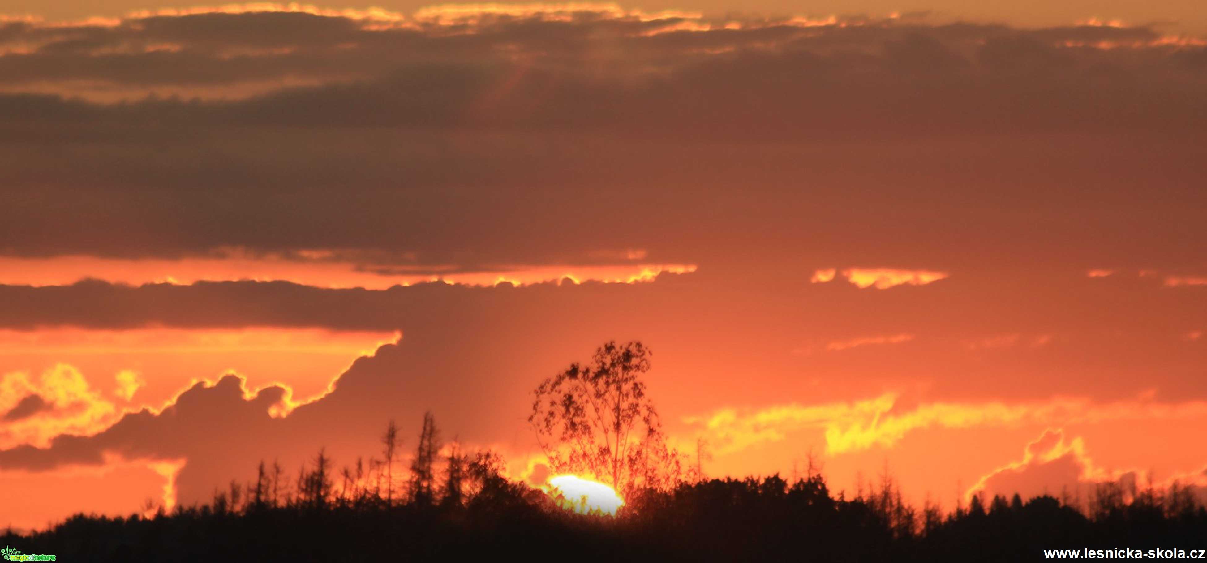 Červnové vykouknutí z peřinky - Foto Ladislav Jonák 0620