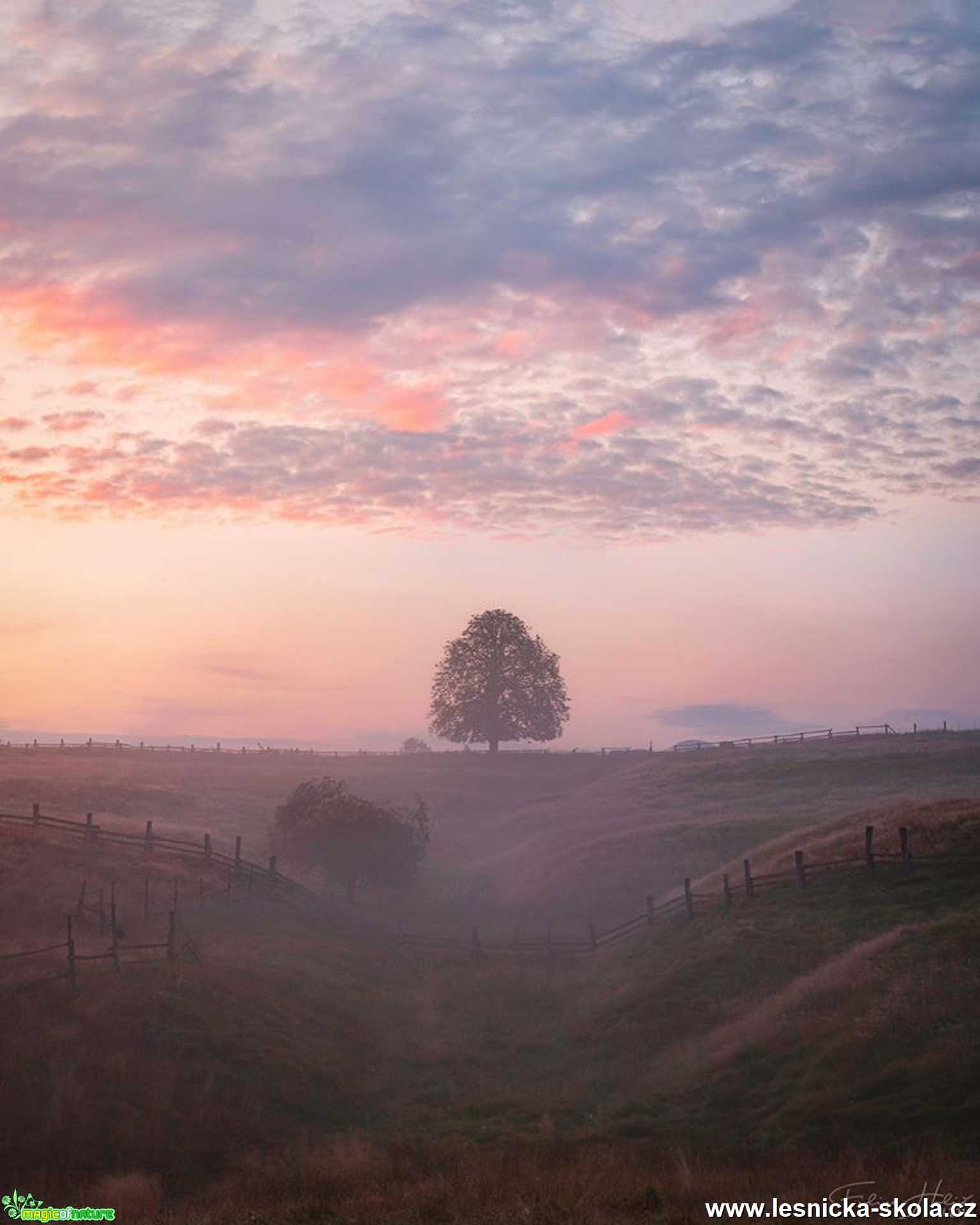 Pod oslavovým stromem - Foto Filip Holič 0620