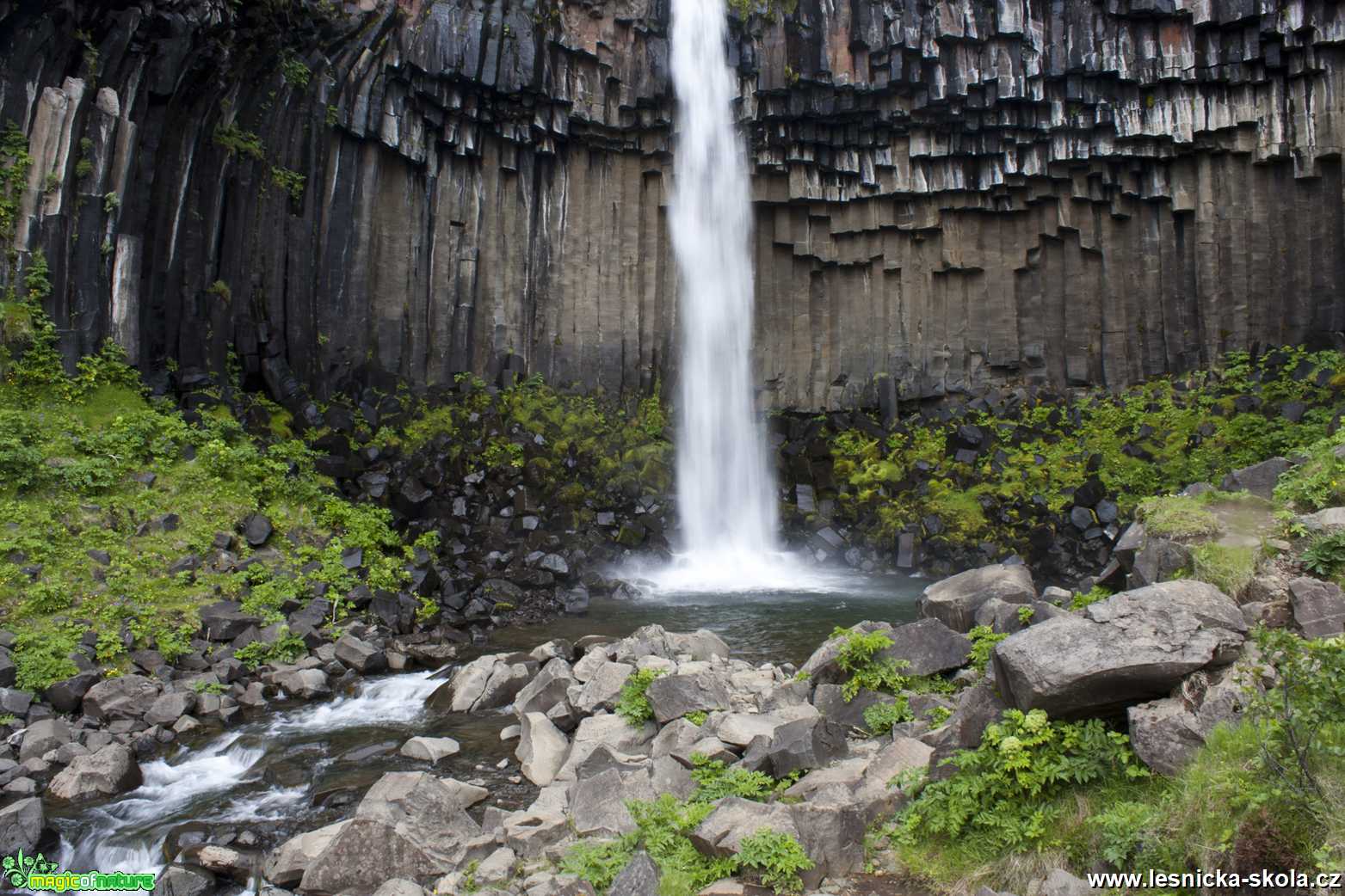 Svartifoss - Foto Michaela Knoppová