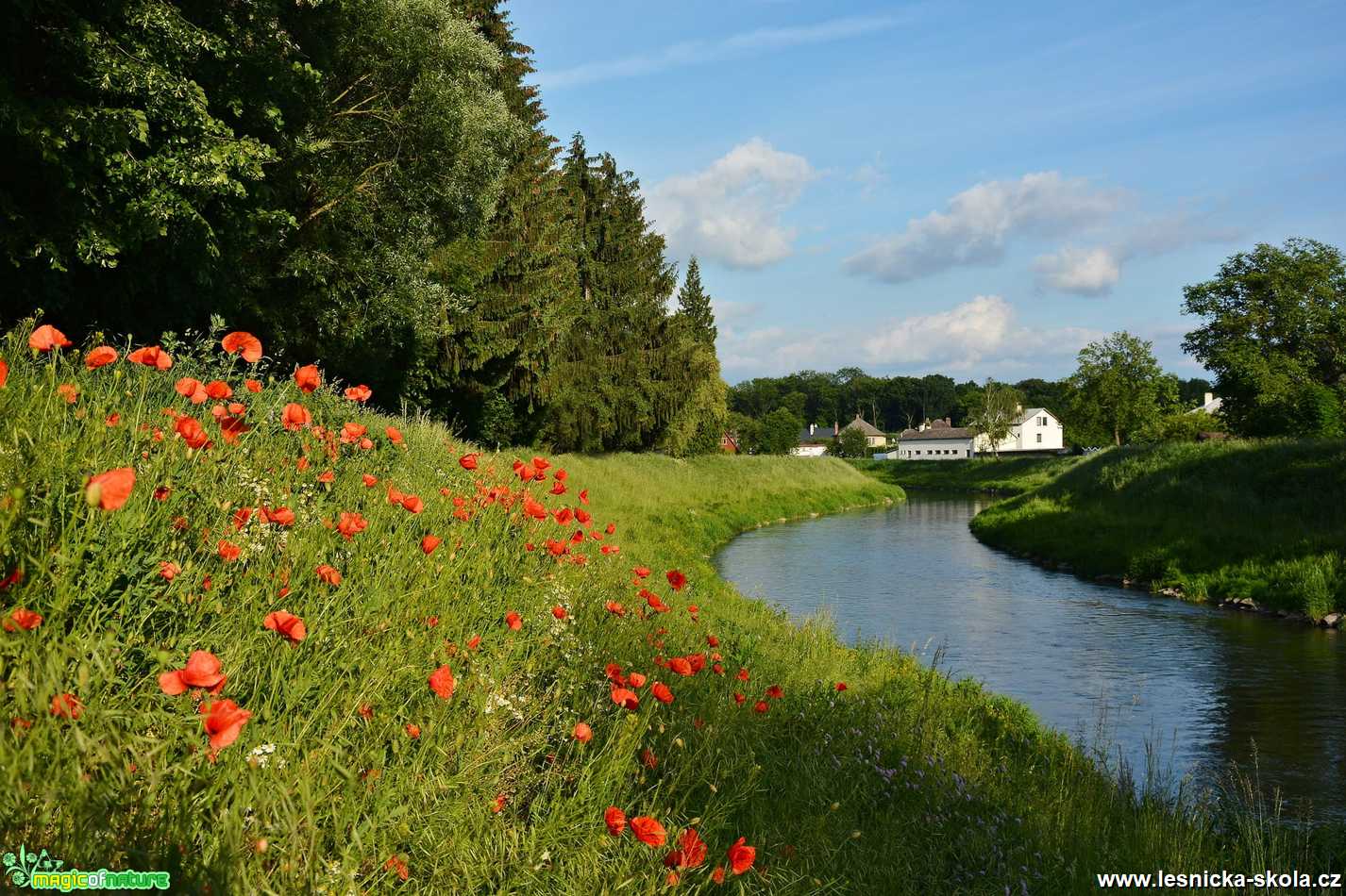 Pohled, který mám ráda - Foto Marie Vykydalová 0620