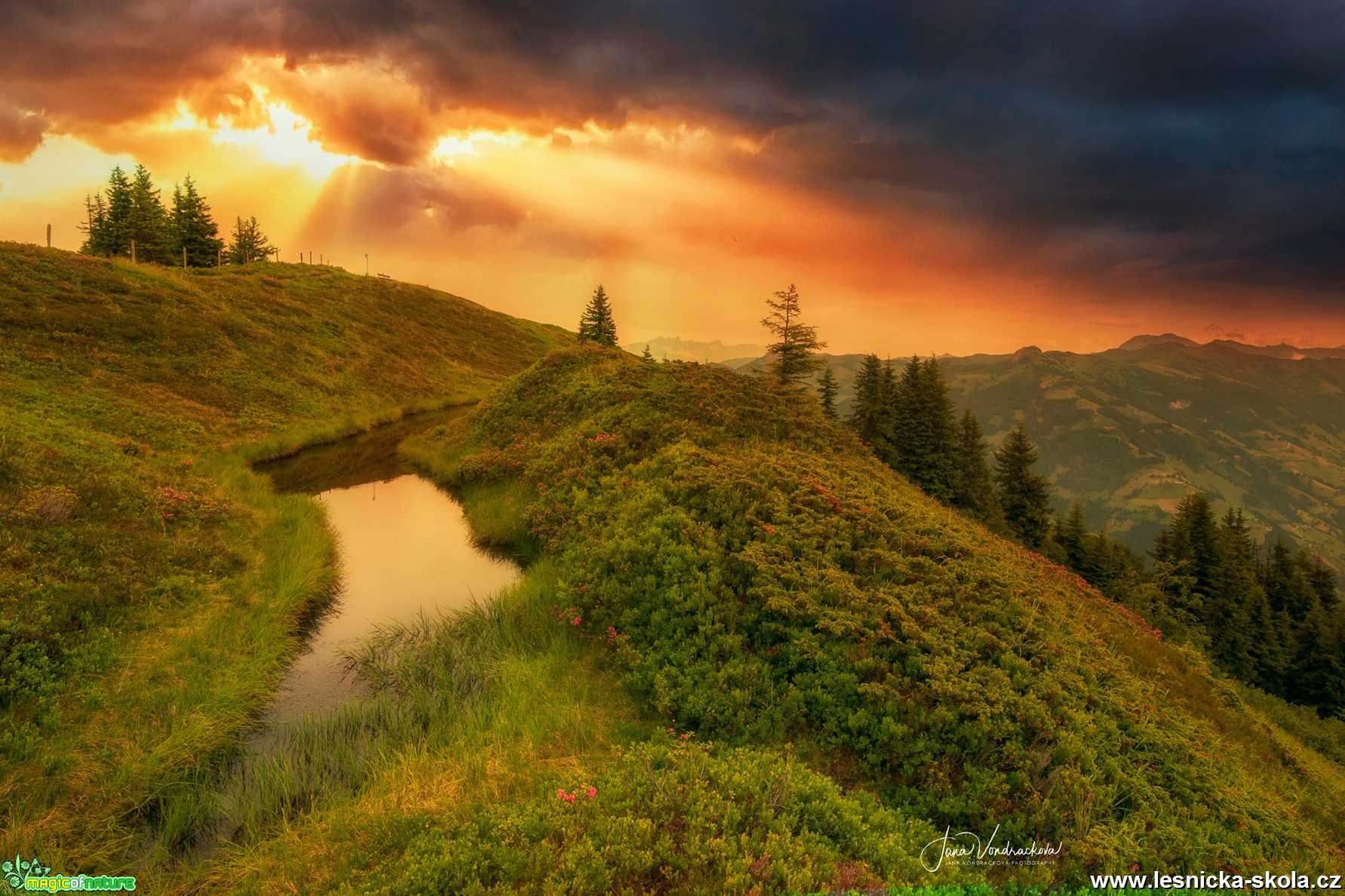 Krajina prolitá sluncem - Foto Jana Vondráčková 1119