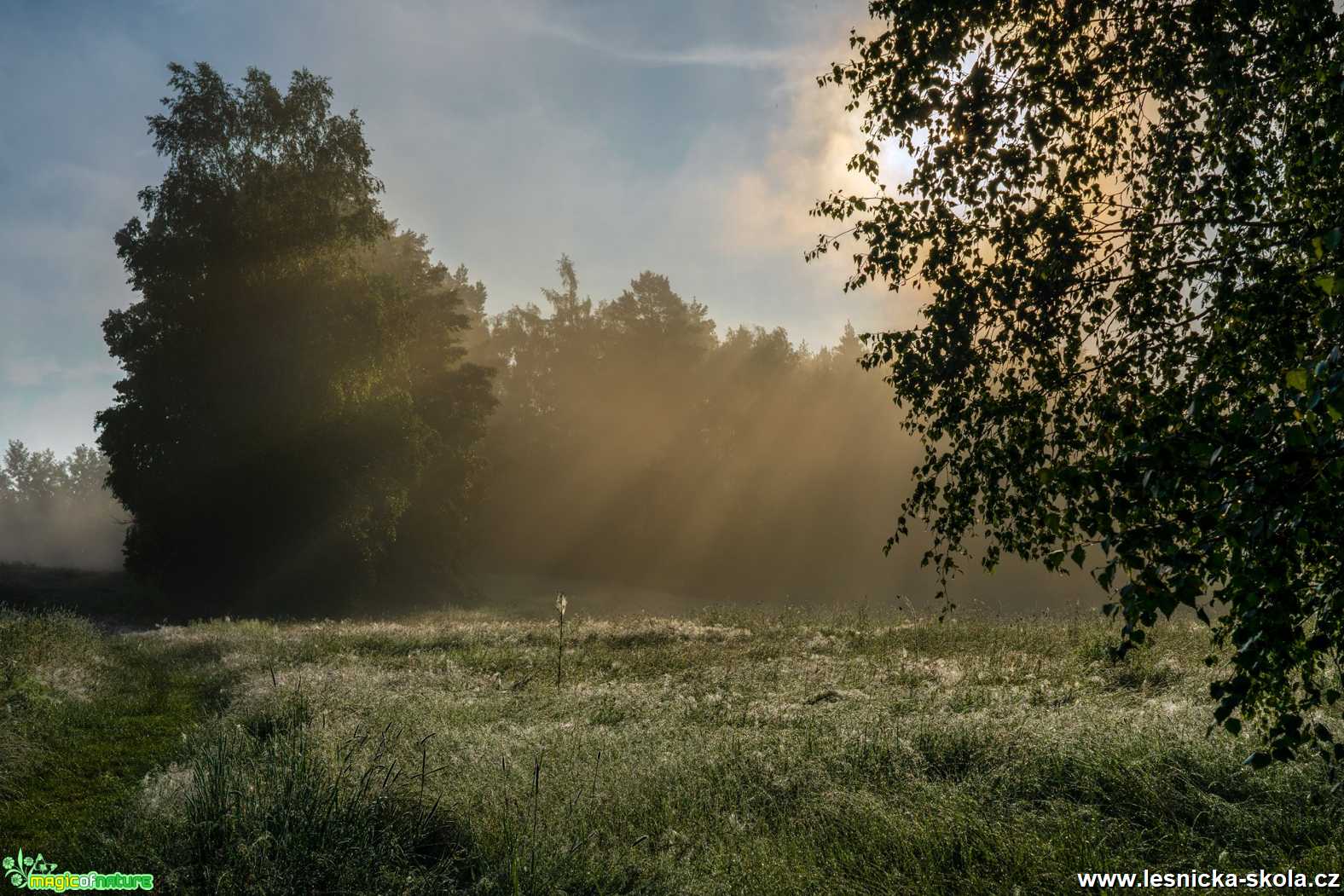 Sloupské louky a pastviny - Foto Petr Germanič 0920