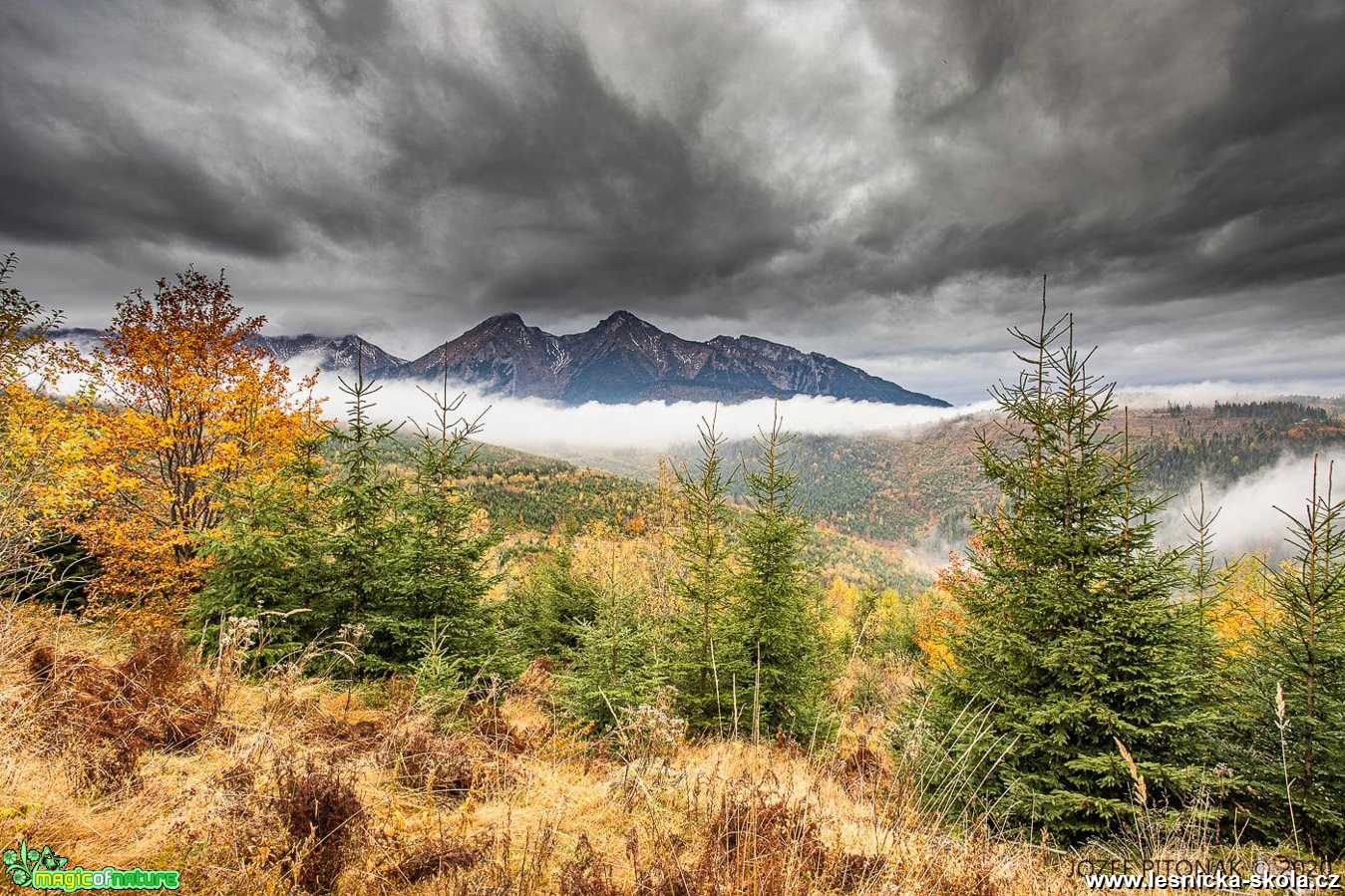 Podzim má paletu pestrou - Foto Jozef Pitoňák 1020 (1)