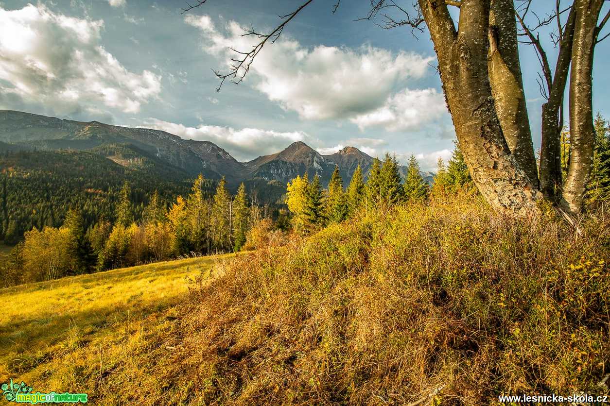 Podzim má paletu pestrou - Foto Jozef Pitoňák 1020 (5)