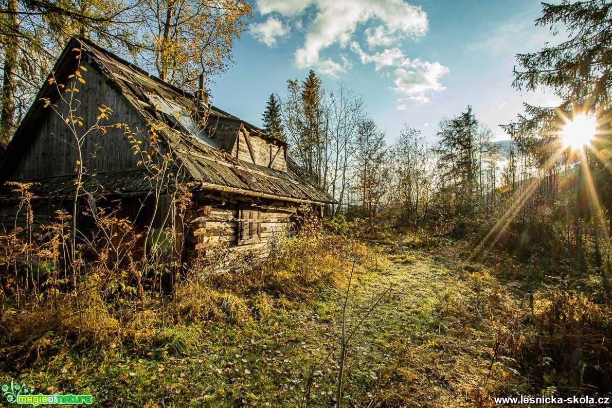 Podzim má paletu pestrou - Foto Jozef Pitoňák 1020 (10)