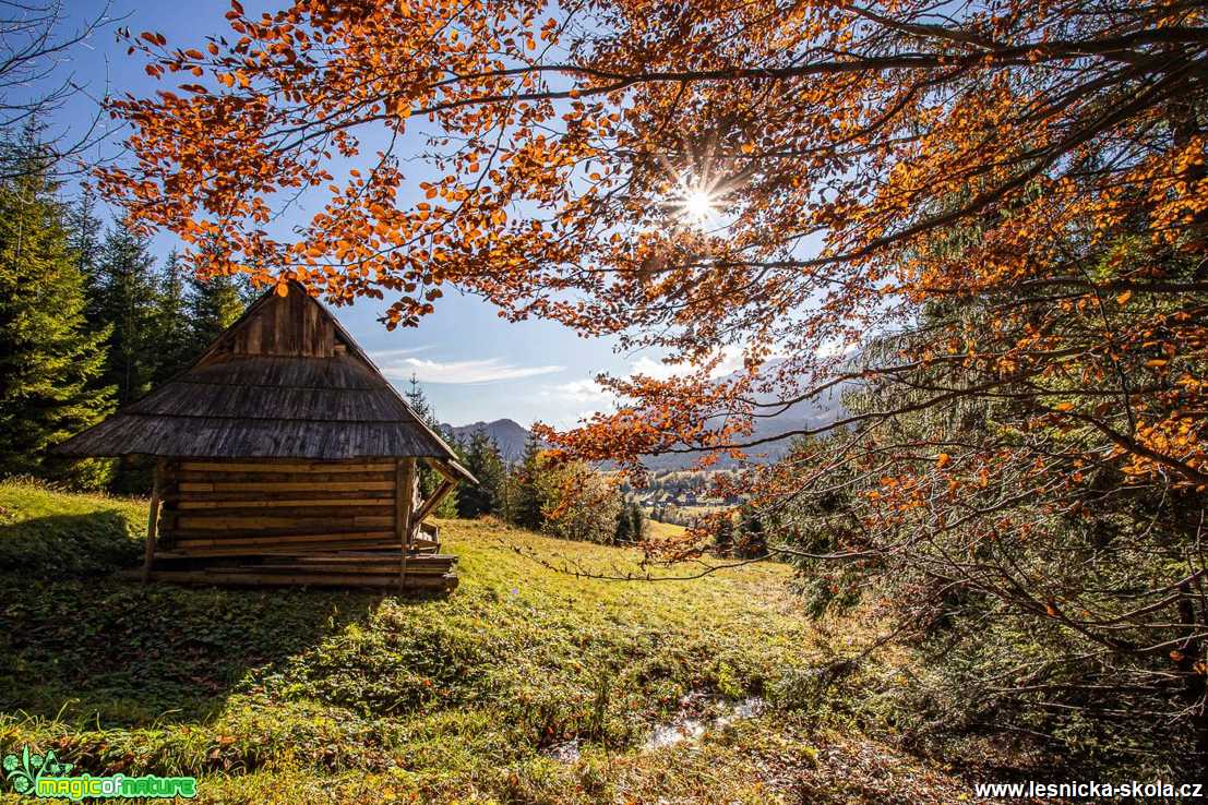 Podzim má paletu pestrou - Foto Jozef Pitoňák 1020 (11)