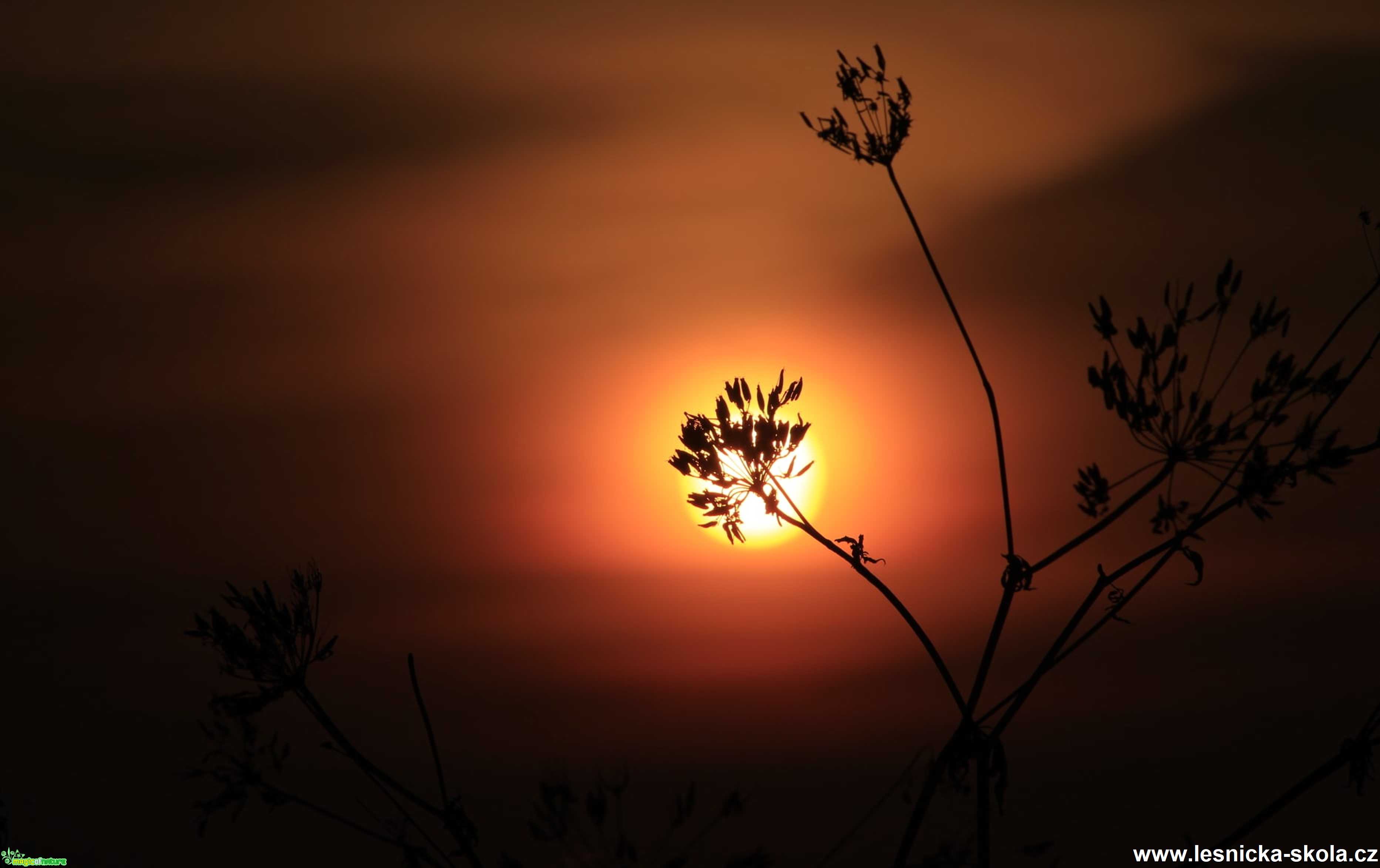 Podzimní ráno - Foto Ladislav Jonák 1020