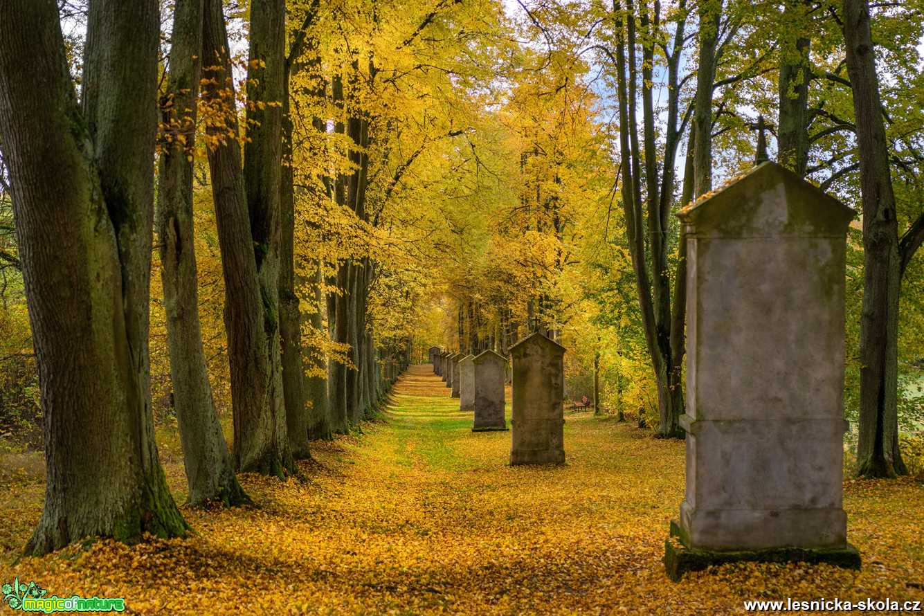Podzimní Křížová cesta - Foto Petr Germanič 1120