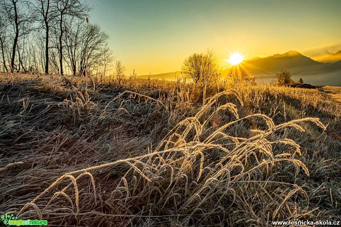 Končí podzim a začíná zima - Foto Jozef Pitoňák 1120 (6)