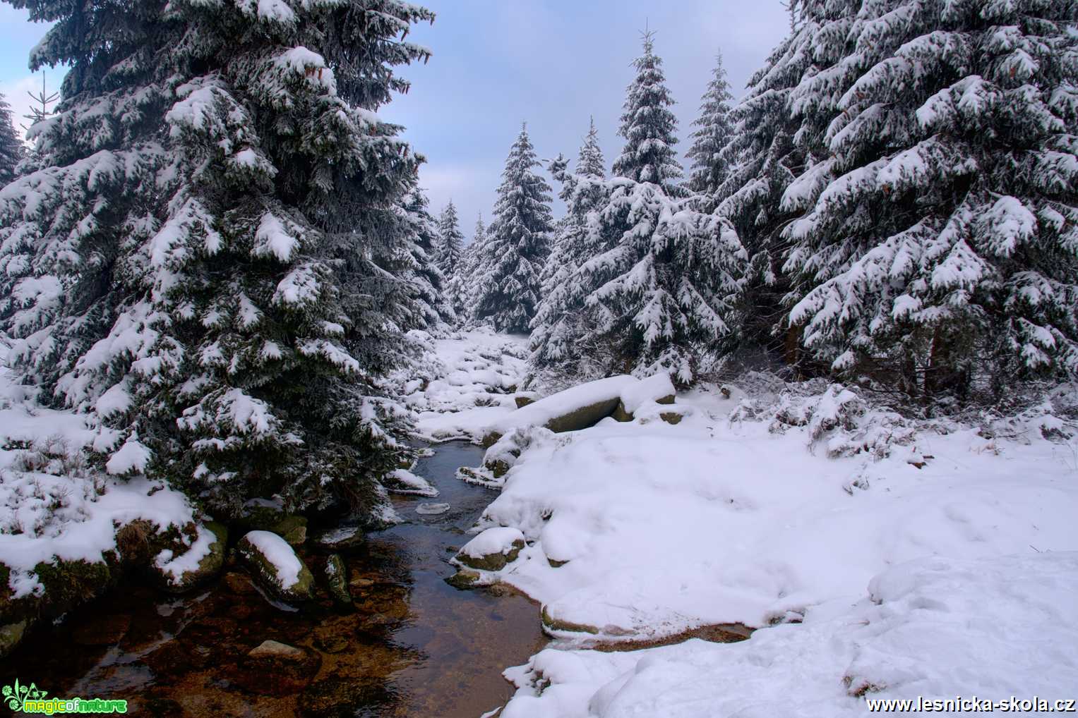 Cestou na Jizeru - Foto Jaroslava Jechová 0121 (1)