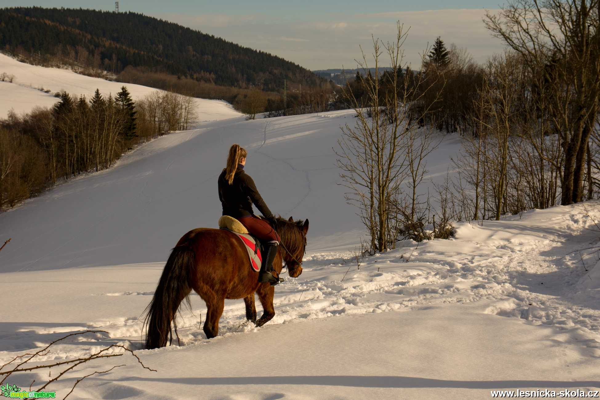 Na projížďce - Foto Jaroslava Jechová 0121