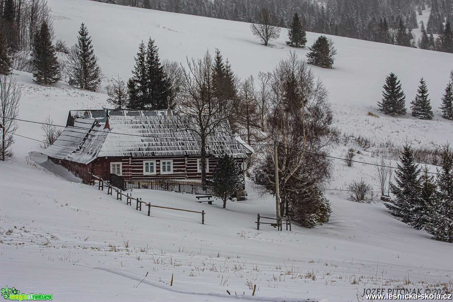 Blaščacká dolina - Foto Jozef Pitoňák 0121 (2)