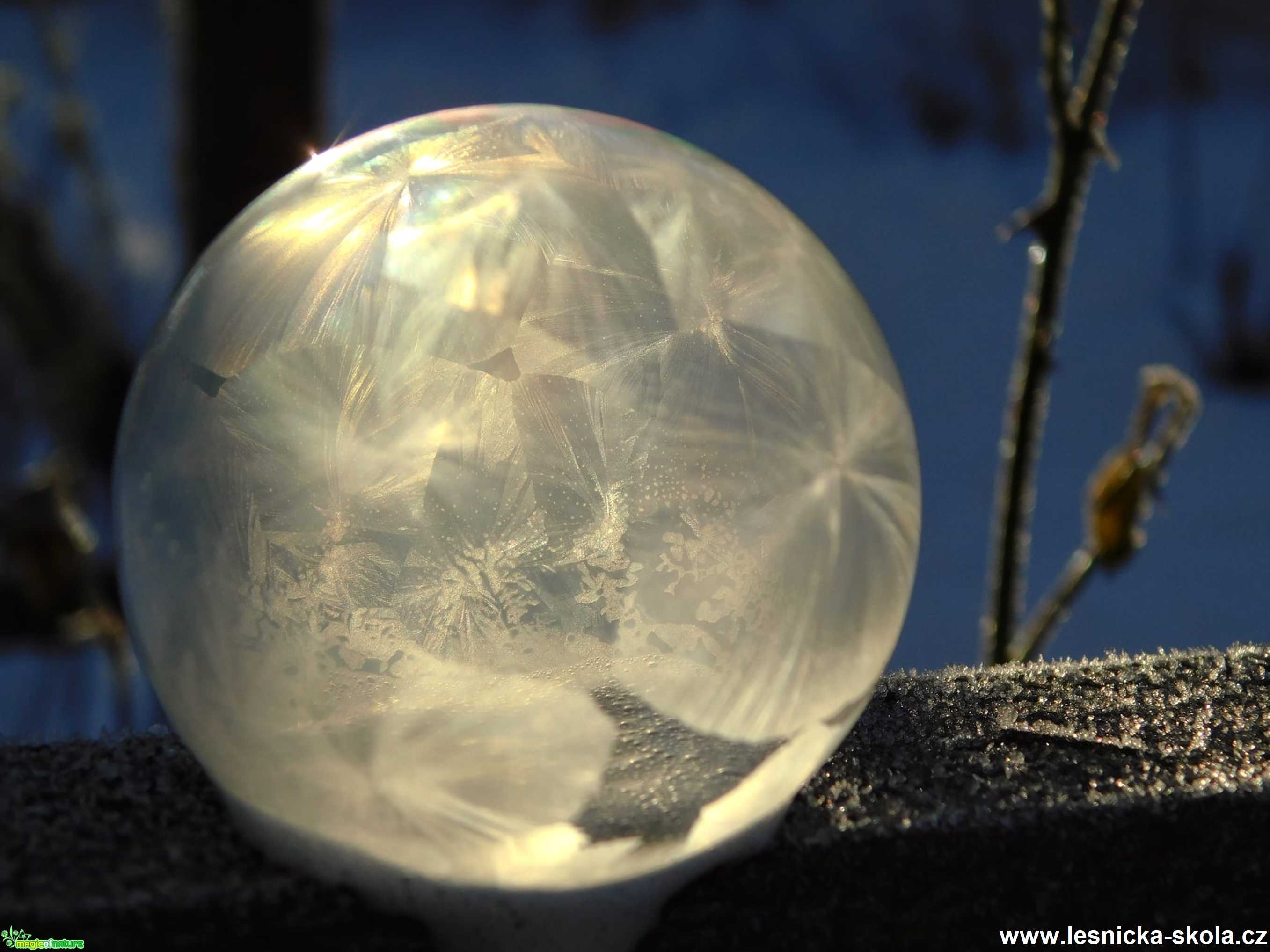Hrátky s bublinou - Foto Jaroslava Jechová 0221