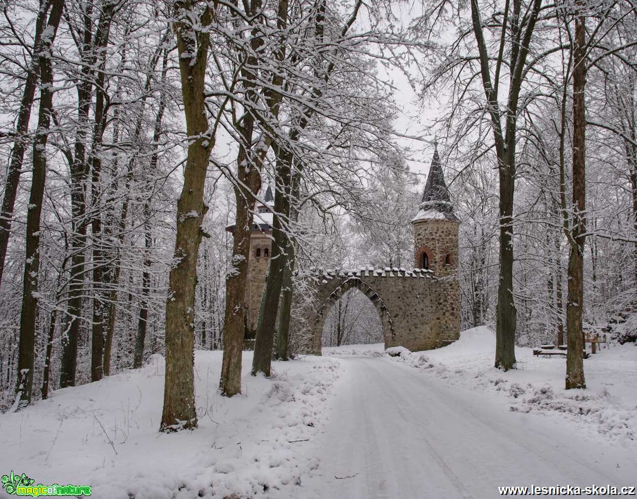 Kolem Sychrova - Foto Jaroslava Jechová 0221 (1)