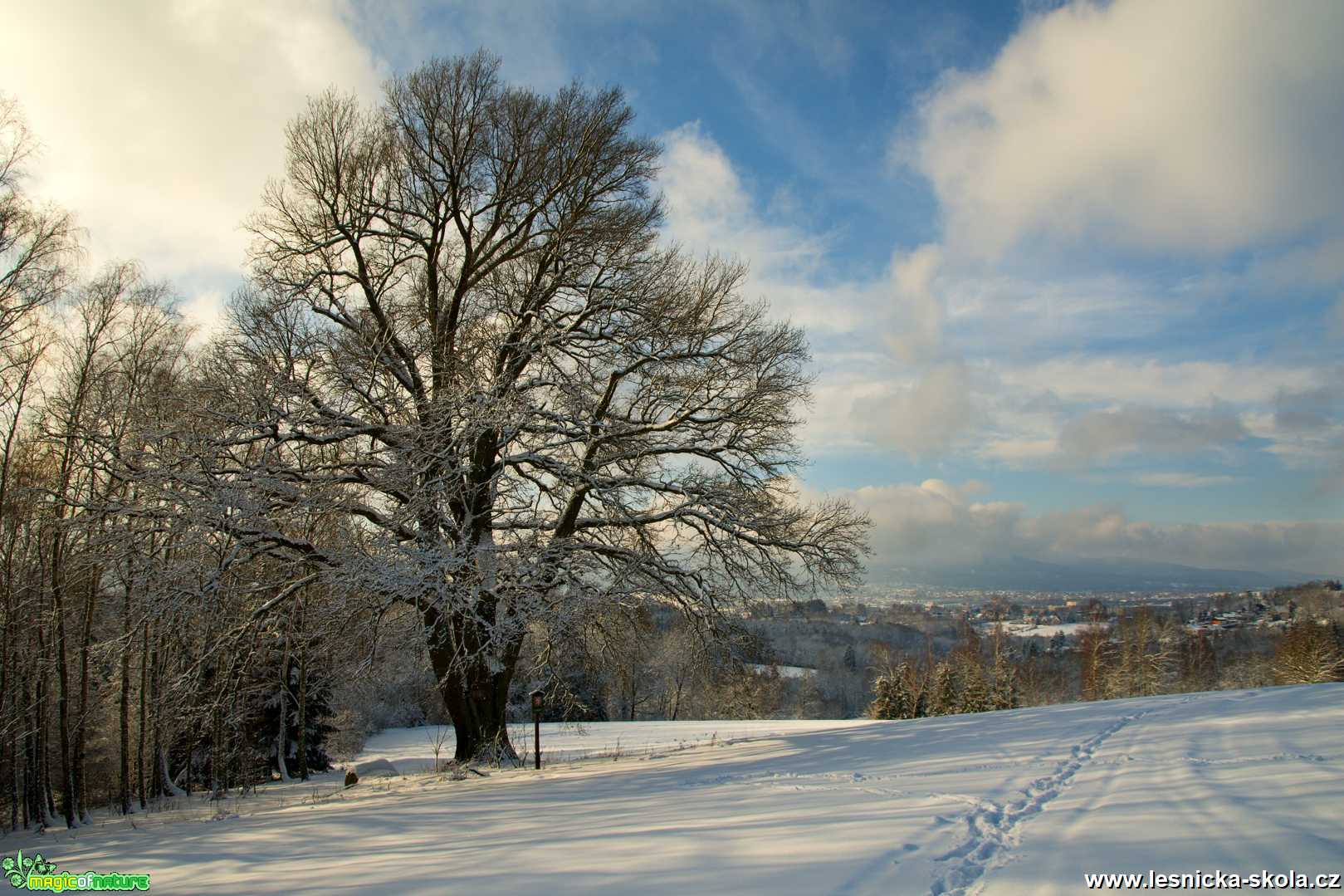 U památného stromu - Foto Jaroslava Jechová 0221