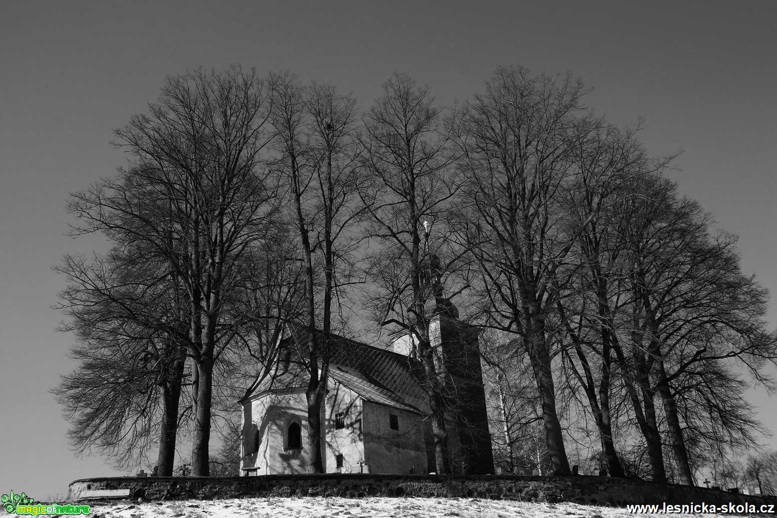 Petrovický kostel Sv.Petra a Pavla - Foto Ladislav Jonák 0321