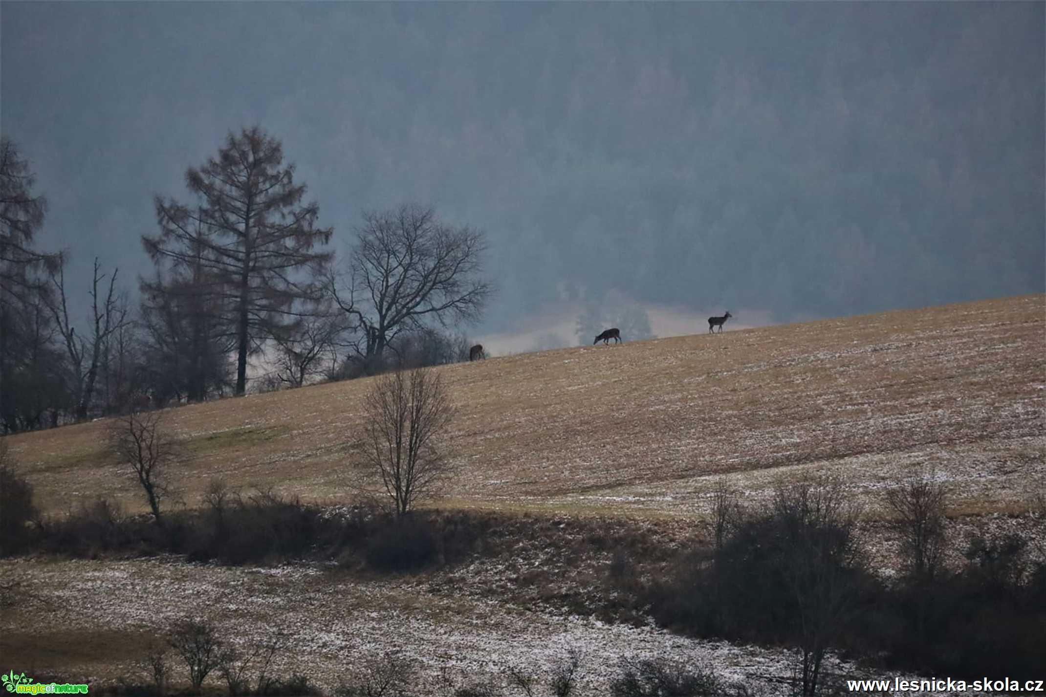 Bezpečně daleko - Slovenská krajina - Foto Marek Zimka 0321