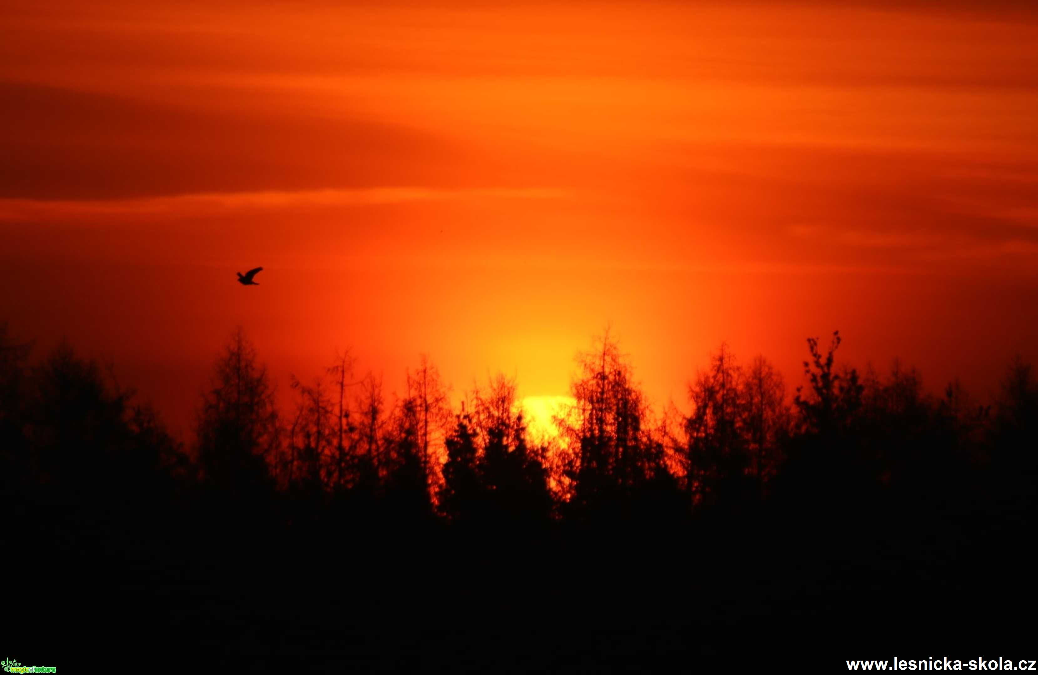 Jeden březnový pátek - Foto Ladislav Jonák 0421