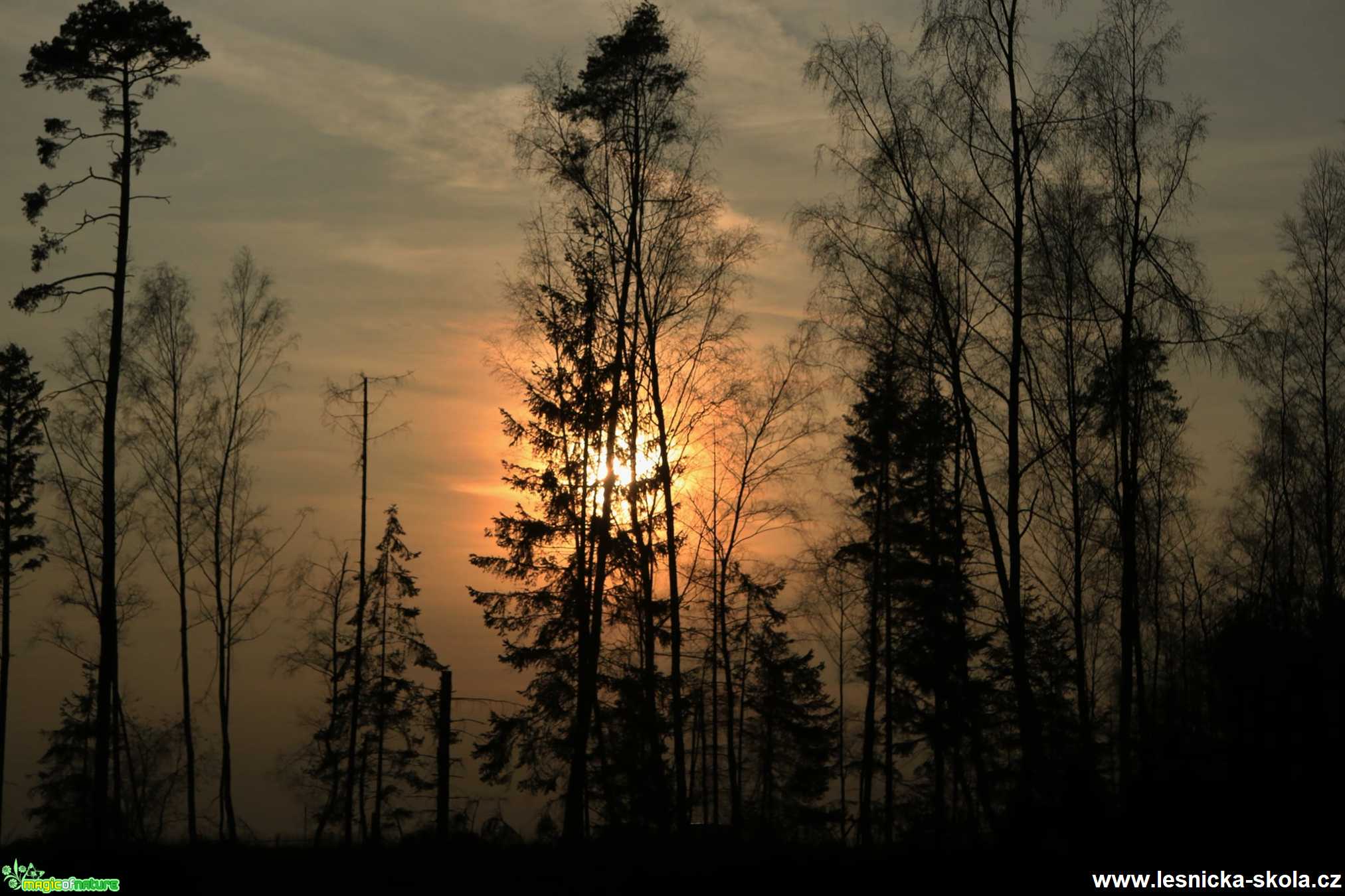 Podvečer na Vysočině - Foto Ladislav Jonák 0421