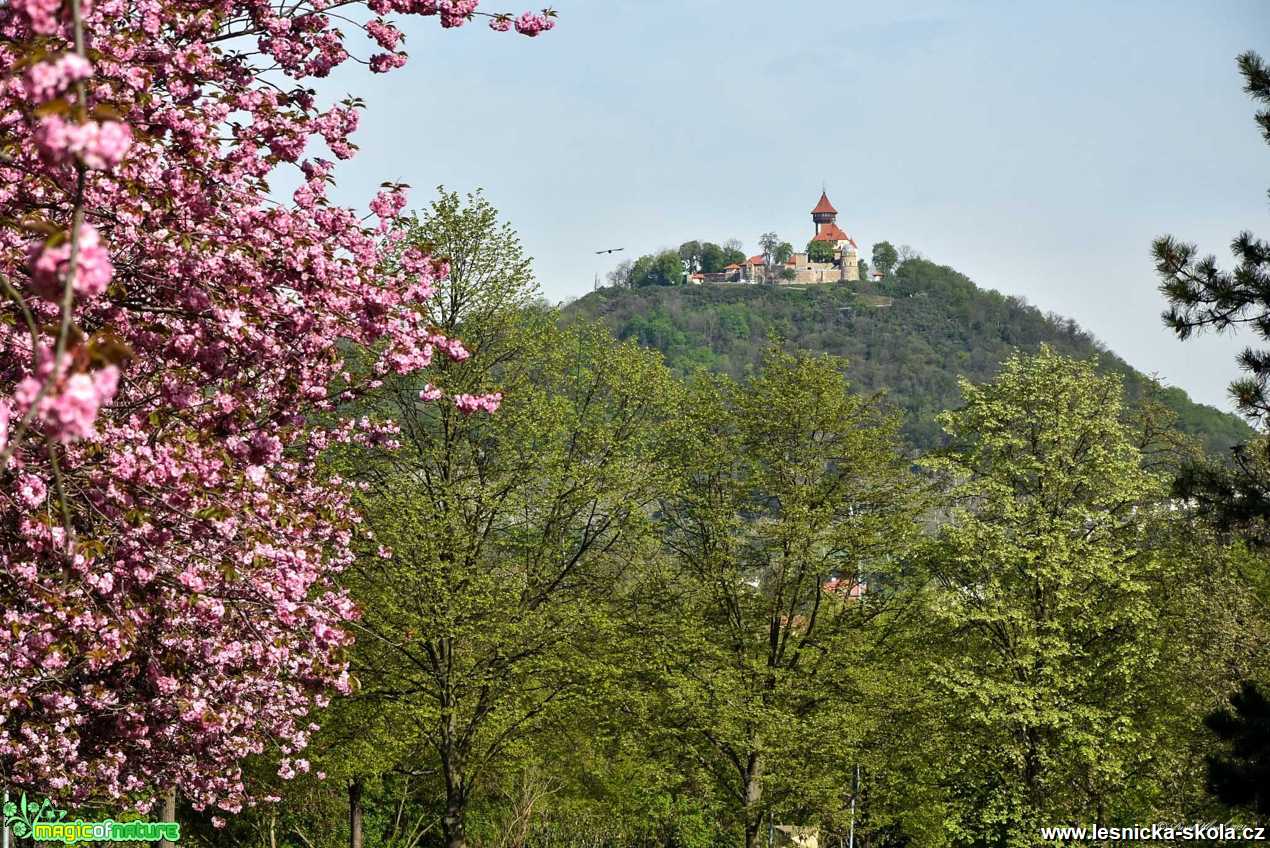 Hněvín - Foto Pavel Ulrych 0521