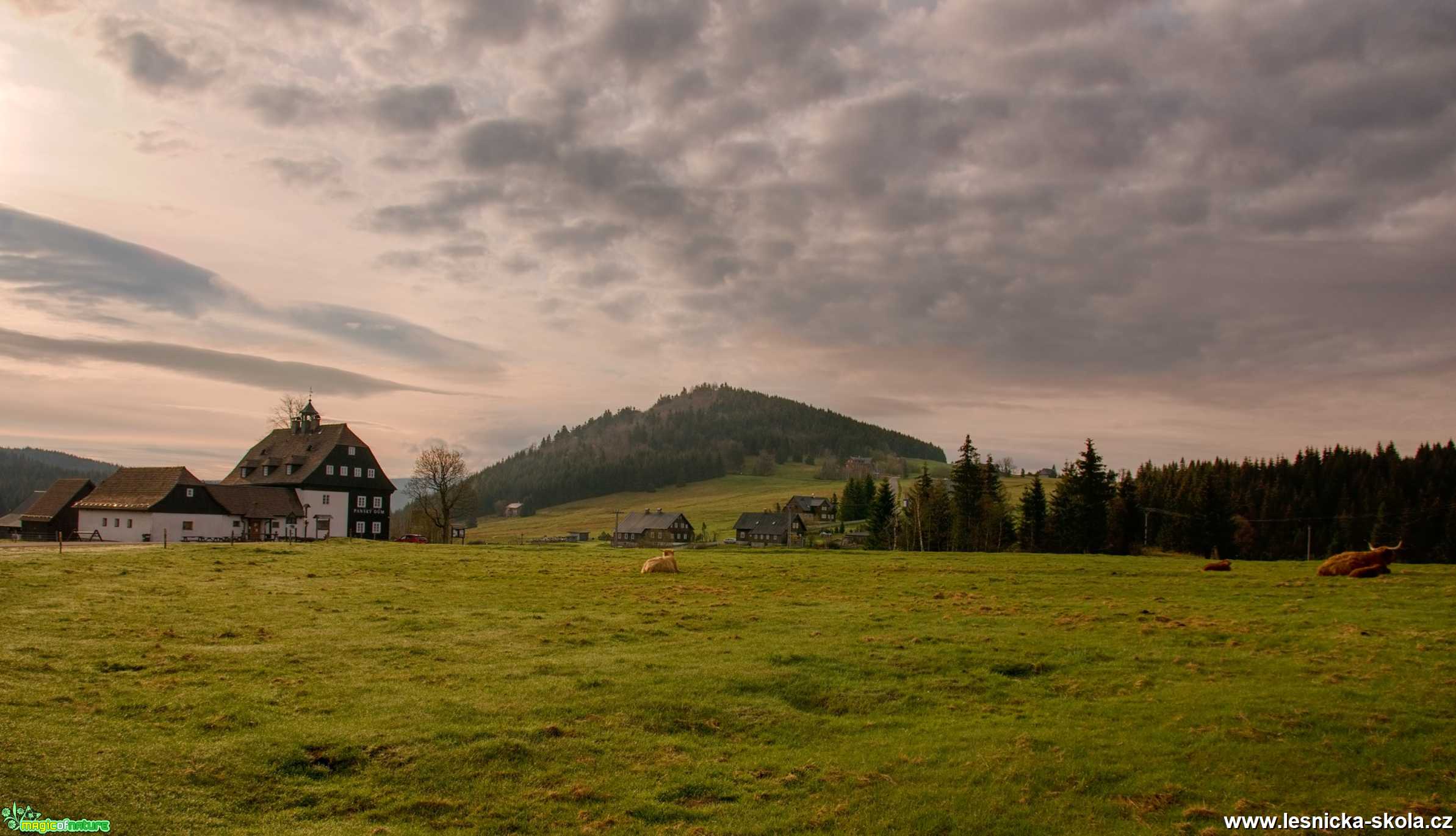 V Jizerských horách - Foto Jaroslava Jechová 0521 (2)