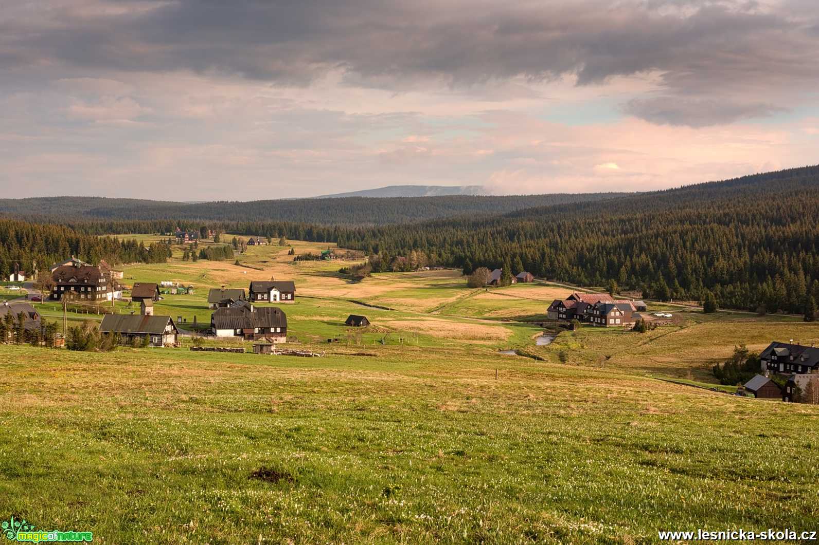 V Jizerských horách - Foto Jaroslava Jechová 0521 (3)