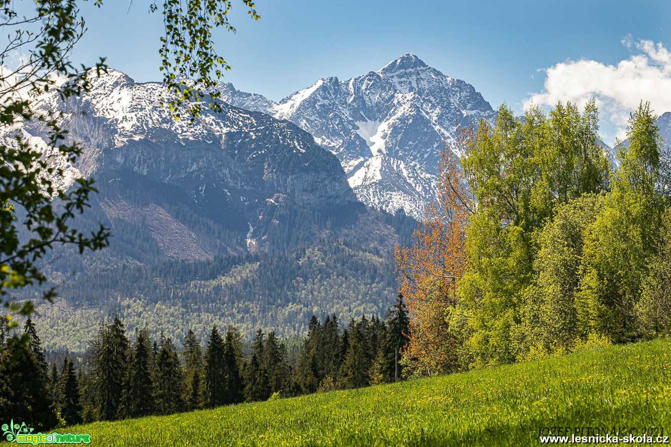 Slovenské hory - Foto Jozef Pitoňák 0521 (7)