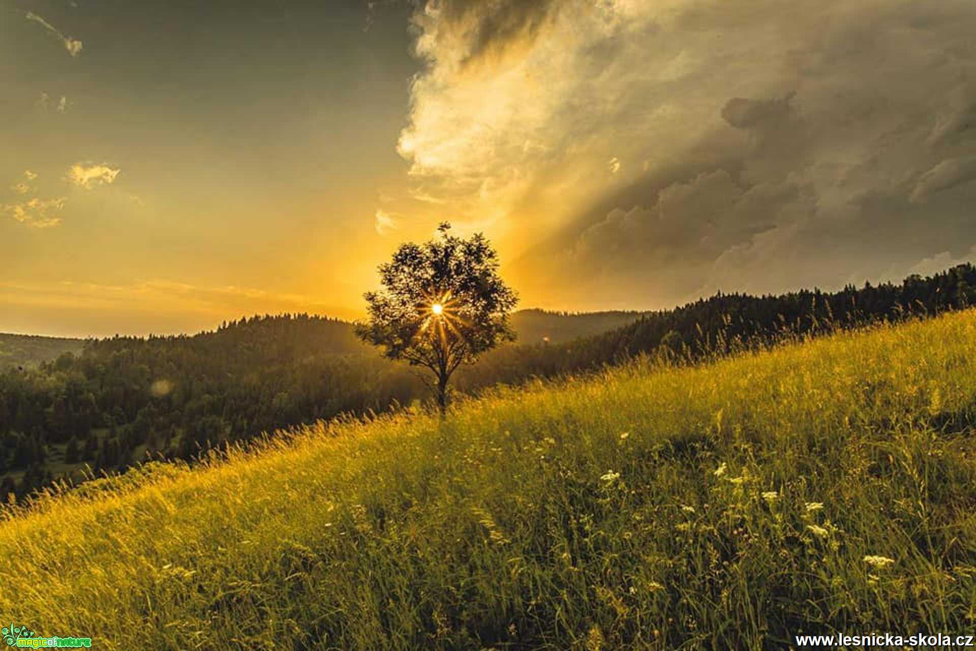 Nádhera slovenských hor - Foto Jozef Pitoňák 0621 (13)