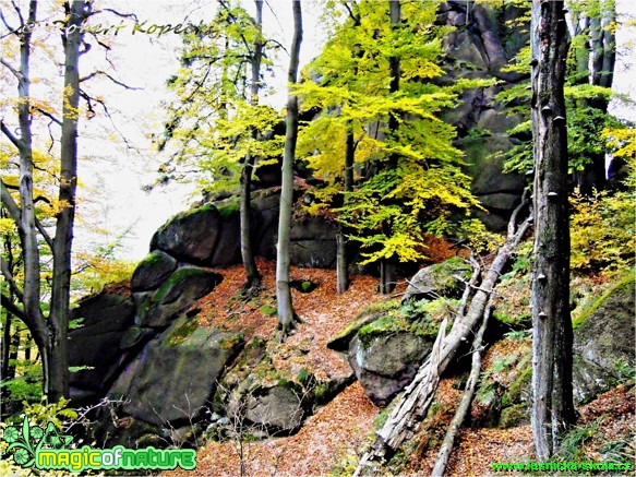 Na Kopřivníku - Foto Robert Kopecký