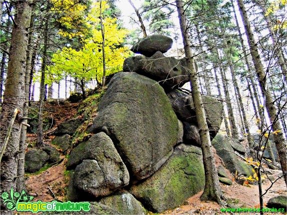 V Jizerkách - Foto Robert Kopecký