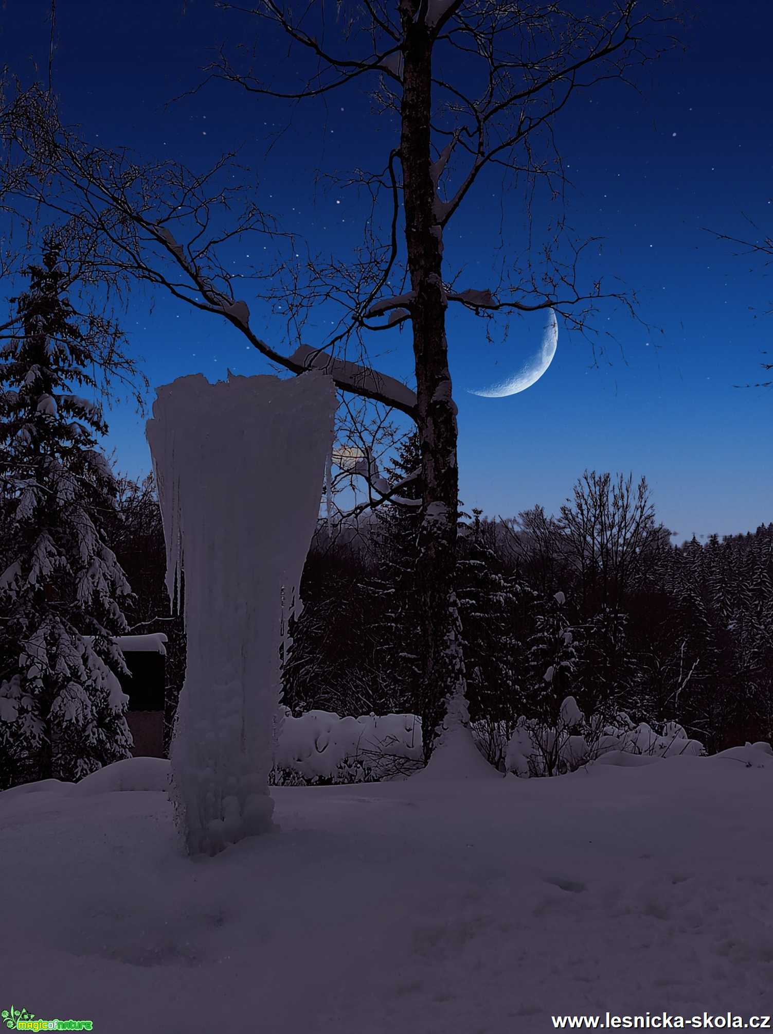 U studánky Sněžná - Foto Jaroslava Jechová 0121