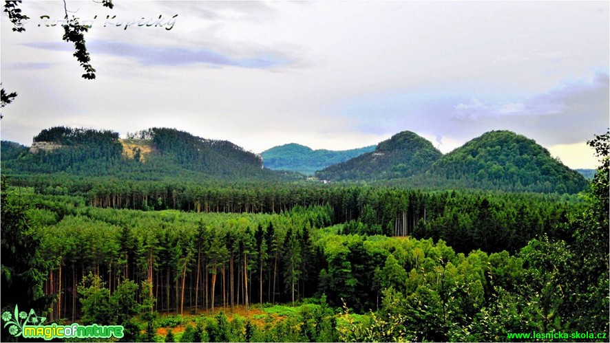 Široký kámen, Hamerský Špičák a  Děvín - Foto Robert Kopecký