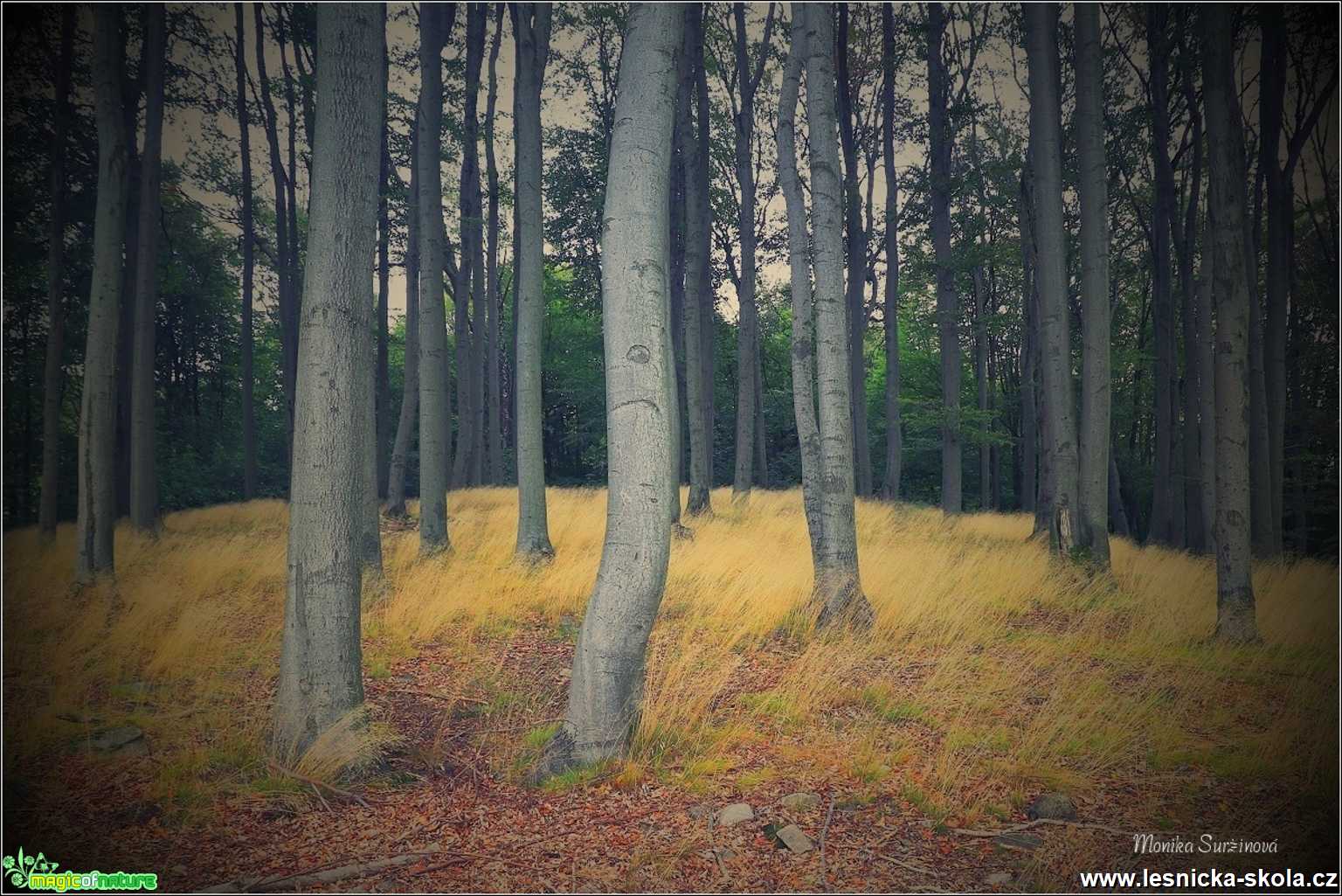 Krajina Šluknovska -  Foto Monika Suržinová 0721 (2)