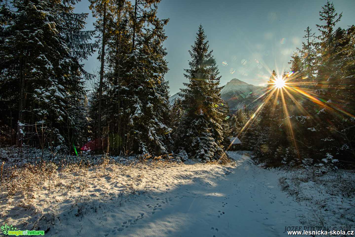 Zima 2021 dorazila - Foto Jozef Pitoňák 1121 (5)