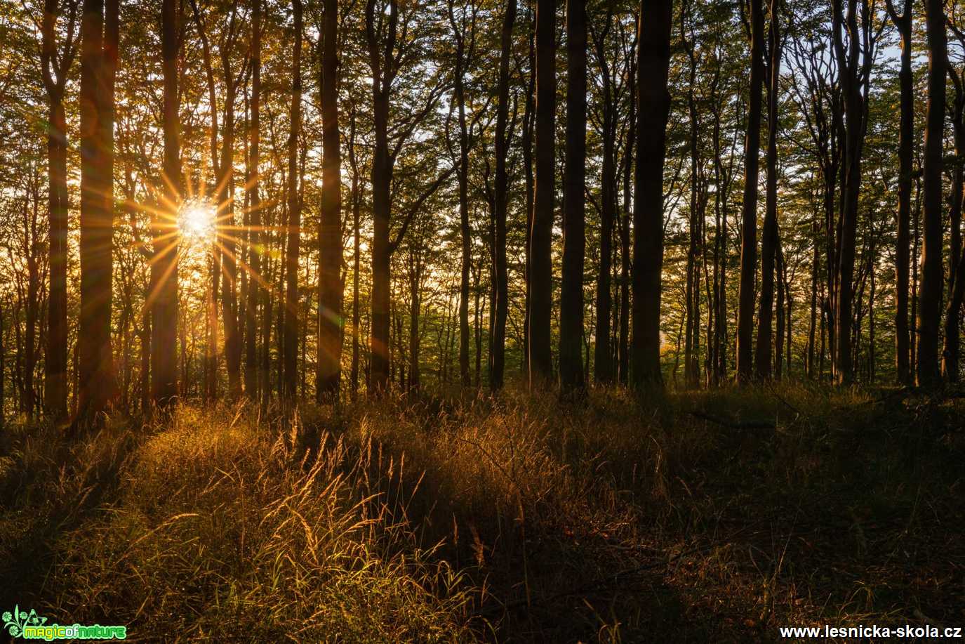 Zapadání pod Pěnkavčím vrchem - Foto Petr Germanič 1021