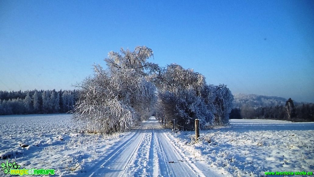 Zimní krajina pod Hrazeným 2 - Foto Eva Andělová