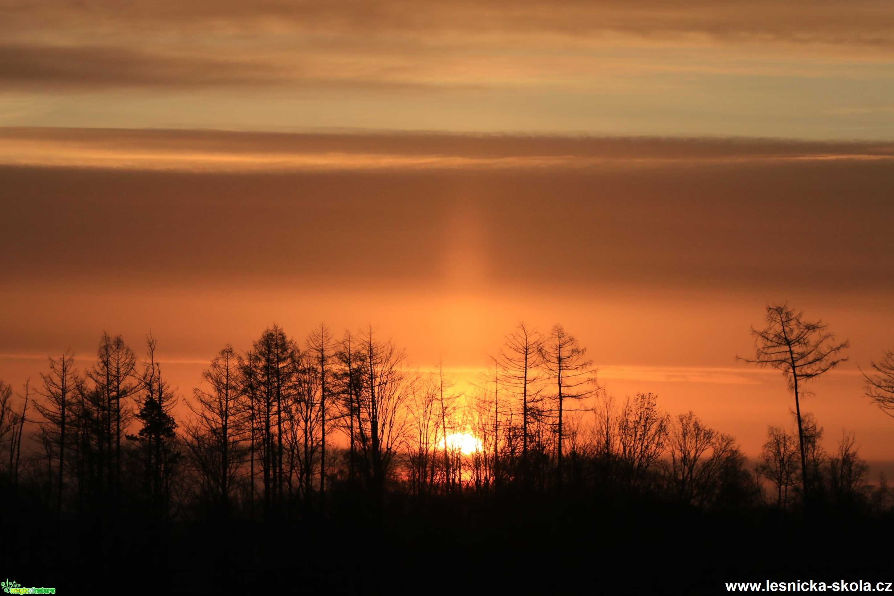 Halový sloup při lednovém východu nad Vysočinou - Foto Ladislav Jonák 0122