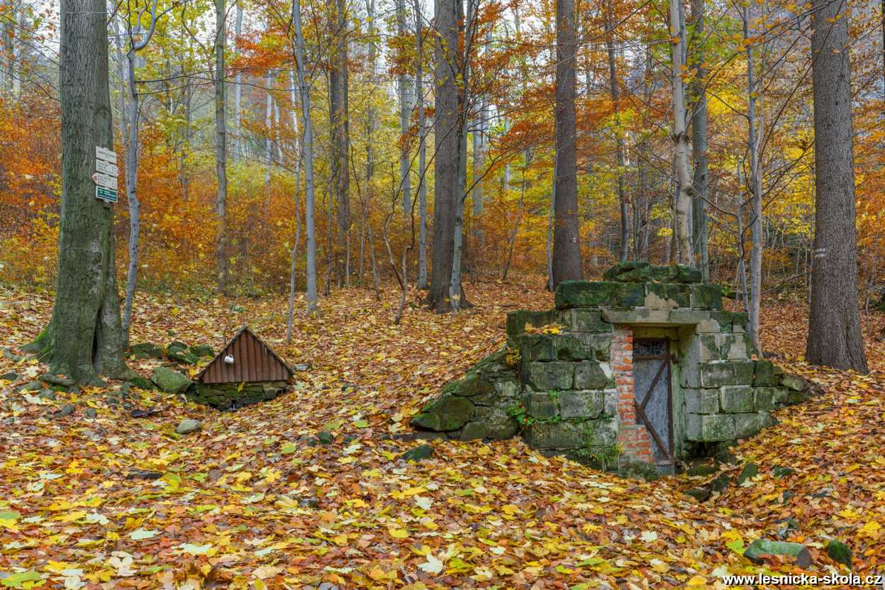 Podzimní lesní studánka - Foto Petr Germanič 1121