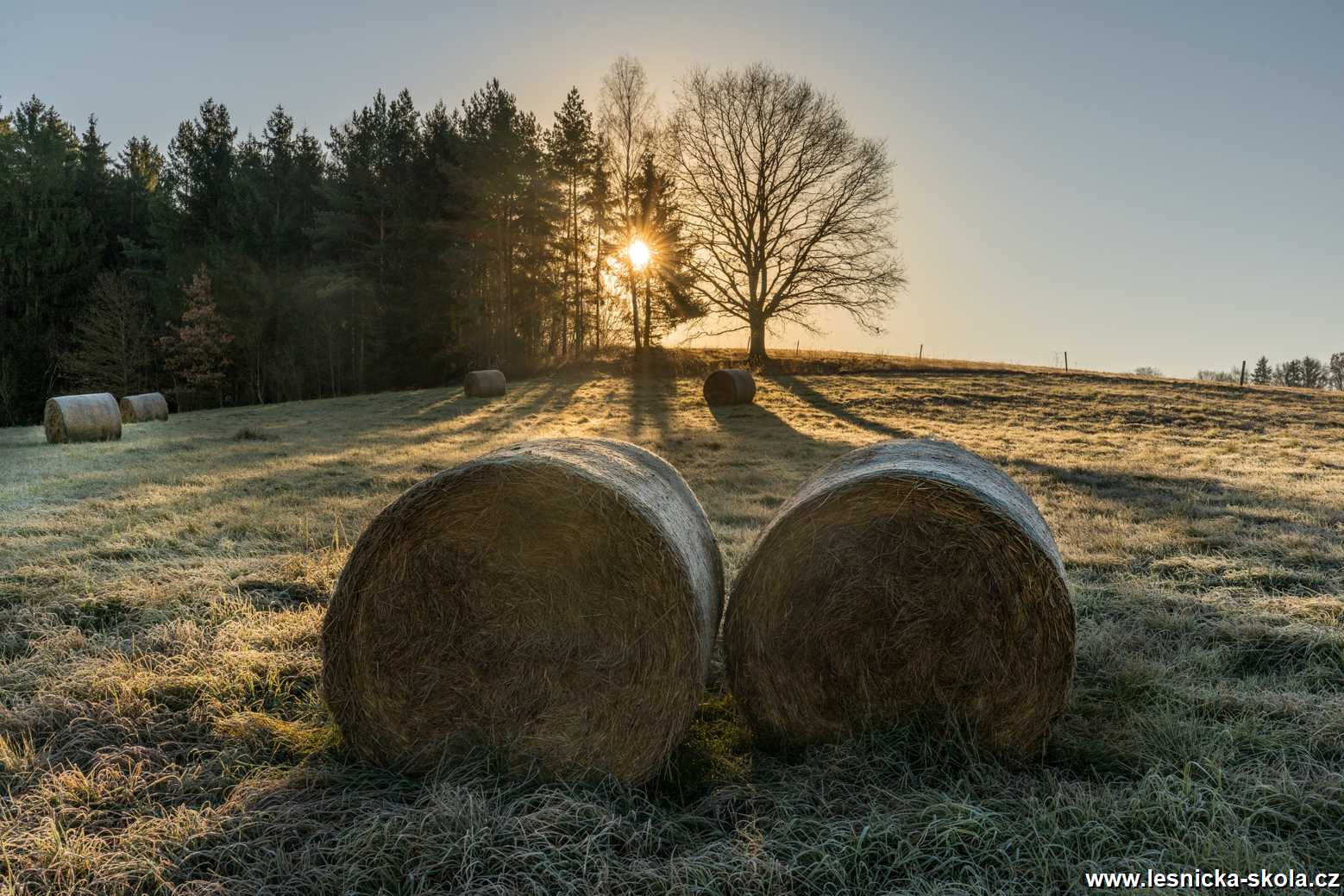 Podzimní mrazíky - Foto Petr Germanič 1121