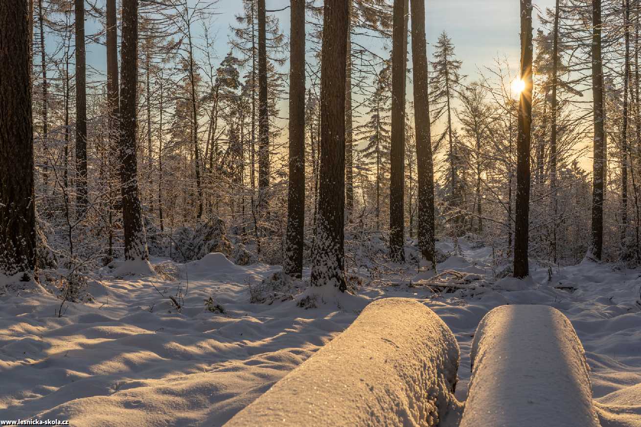 Nedělní prosincové ráno na Klíči - Foto Petr Germanič 1221 (4)