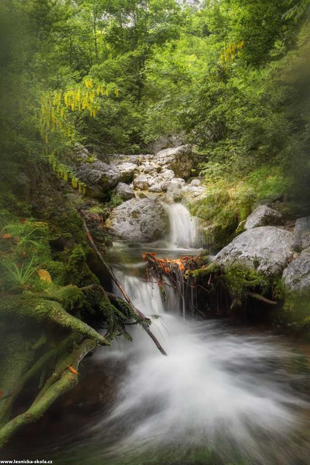 Vzpomínky na Slovinsko - Foto Jana Vondráčková 1221 (1)