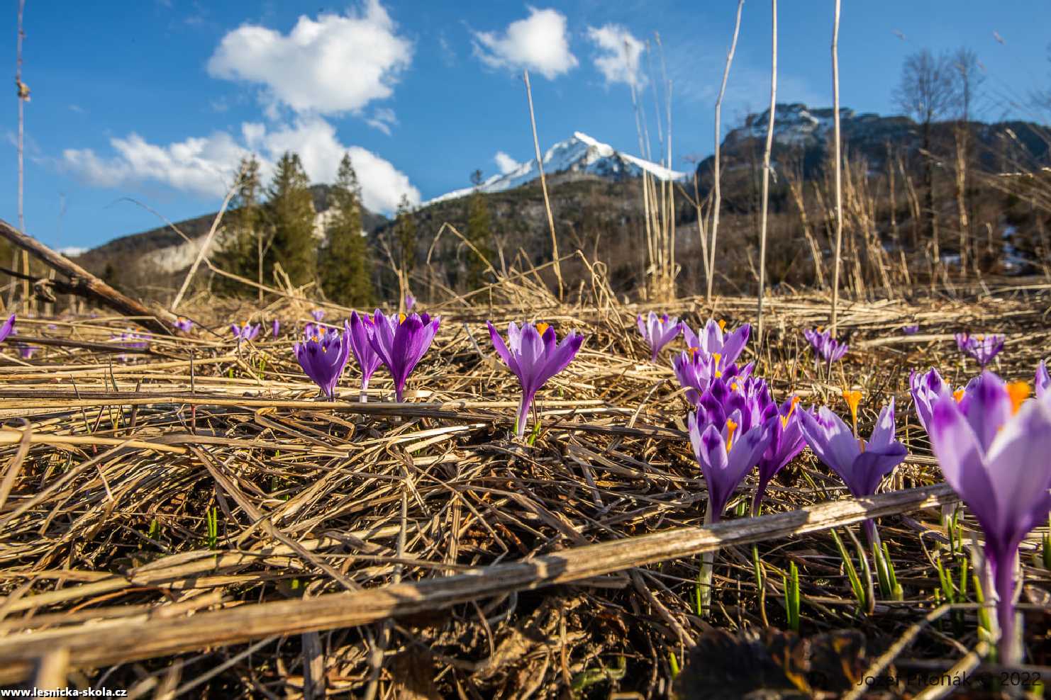 Jaro dorazilo do slovenských hor - Foto Jozef Pitoňák 0322 (6)