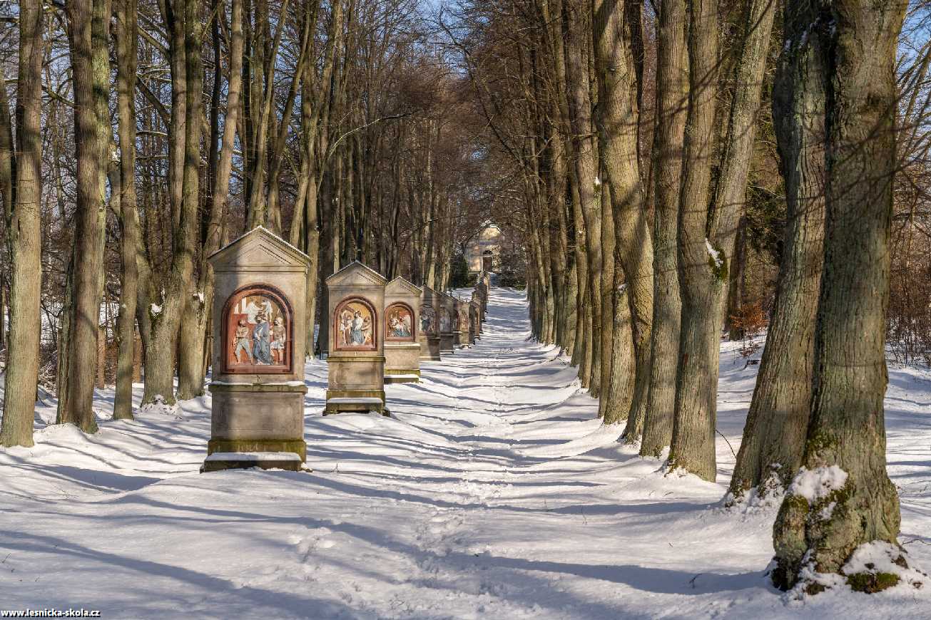 Cvikovská Kalvárie - Foto Petr Germanič 0122