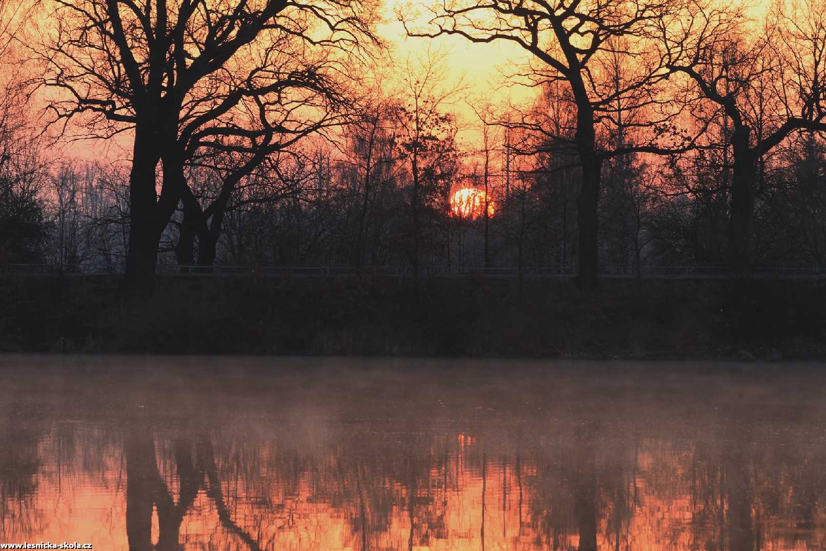 Přichází nový den - Foto Ladislav Jonák 0322