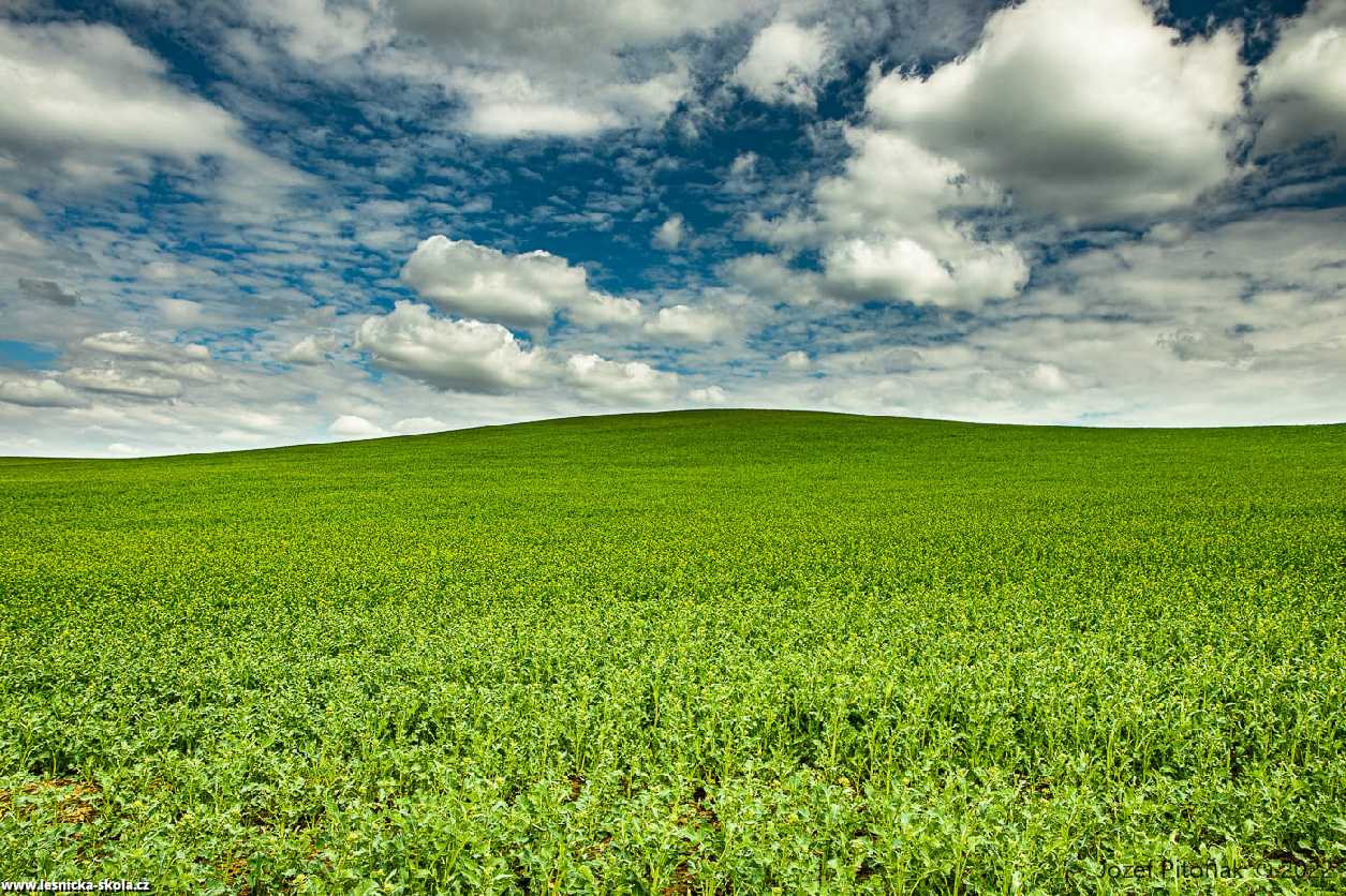 Nebe nad polem - Foto Jozef Pitoňák 0422