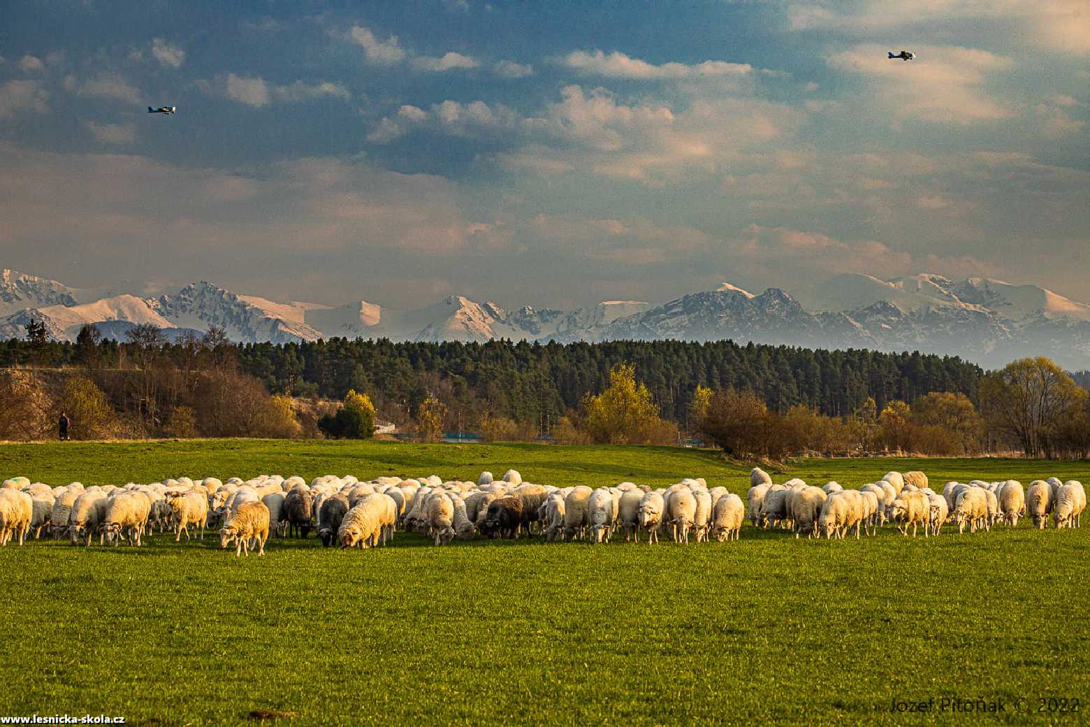 Pastva na slovenských horách - Foto Jozef Pitoňák 0422 (9)