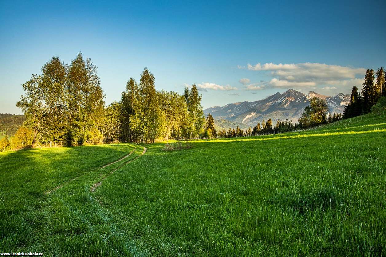 Květen na slovenských horách - Foto Jozef Pitoňák 0522 (1)