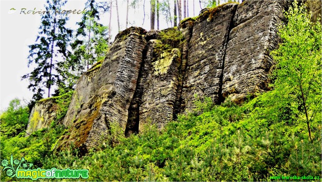 V Pavlíkově údolí - Foto Robert Kopecký