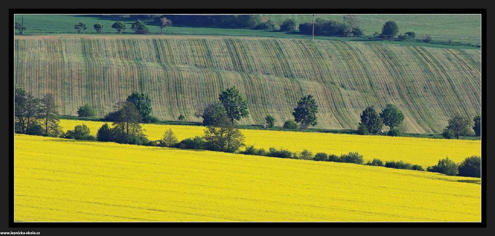 Vlny - Foto Pavel Balazka 0522