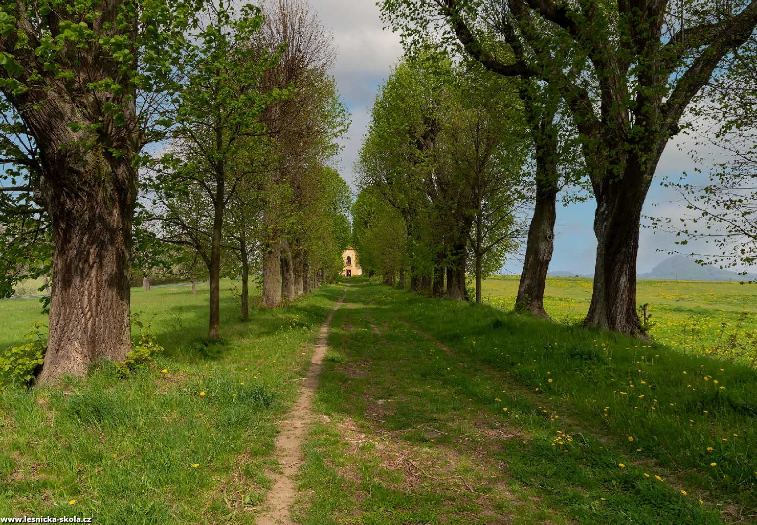 Alej u kaple sv. Jana Nepomuckého ve Sloupu - Foto Jaroslava Jechová 0522